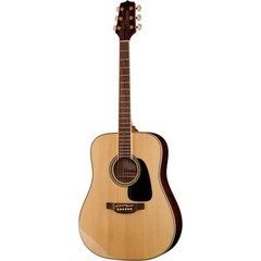 Takamine GD51