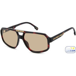 Carrera CA26/S 0UC/II Ανδρικά Γυαλιά Ηλίου Aviator Κοκάλινα Ταρταρούγα με Καφέ Φακό