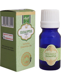 Jain's India Αιθέριο Έλαιο Ευκάλυπτος 10ml