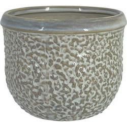 MarHome Κασπώ Χωρίς Σχέδιο Γκρι Λαδί 14.5x12cm 06-20013