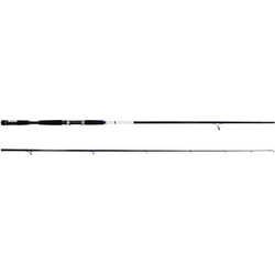 Filstar Deep Monster Power Game Καλάμι Ψαρέματος για Shore Jigging Δίσπαστο 3m 20-100gr