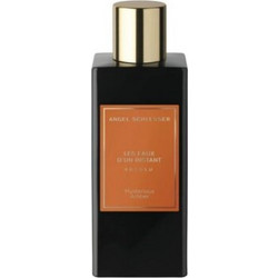 Angel Schlesser Les Eaux D'Un Instant Absolu Mysterious Amber Eau de Parfum 100ml