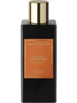 Angel Schlesser Les Eaux D'Un Instant Absolu Mysterious Amber Eau de Parfum 100ml