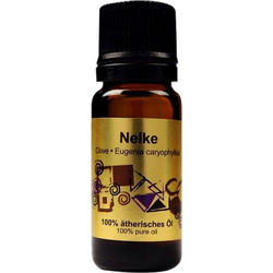 Bioleon Styx Βιολογικό Αιθέριο Έλαιο Γαρίφαλο 10ml