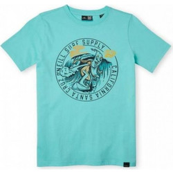 O'Neill Salt Παιδικό T-Shirt Κοντομάνικο Μπλε 4850003-16014J