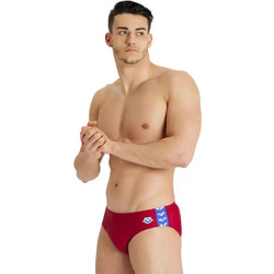 Arena Icons Briefs Αθλητικό Ανδρικό Μαγιό Σλιπ Μπορντό 005049-400