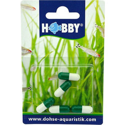 Hobby Planaria X Special Bait 5pcs