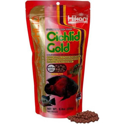 Hikari Cichlid Gold Floating Medium Pellet 250gr