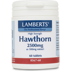 Lamberts Hawthorn 2500mg 60 Ταμπλέτες
