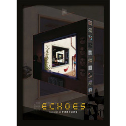 Pink Floyd (Echoes) Wooden Framed Print (30x40) - FP10348P