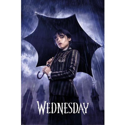 Αφίσα , Poster Wednesday (Downpour) 61 X 91.5cm PP3527403