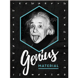 Nostalgic Μεταλλικό μαγνητάκι Celebrities Einstein - Genius Material
