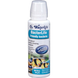 Βελτιωτικό Νερού Waterlife Bacterlife 100ml