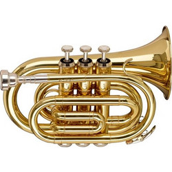 STAGG WS-TR245S Τρομπέτα Bb Pocket