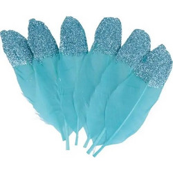 ΦΤΕΡΑ GLITTER ΣΕΤ 6 11,5 TURQUOISE 13030270