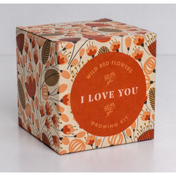 Σετ καλλιέργειας λουλουδιών Say it with Flowers (I love you) 8,8 x 8,8 x 8,8 cm