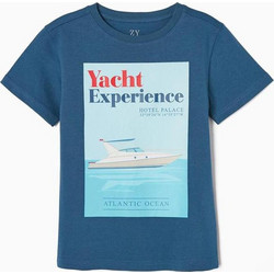 Zippy Παιδικό T-Shirt Κοντομάνικο Πετρόλ 31051958006