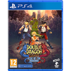 Double Dragon Gaiden Rise Of The Dragons PS4
