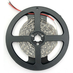 Avide LED Ταινία 12V 12W RGB+W(4000K) IP20 30m