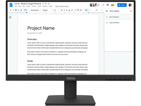 Lenovo ThinkVision S22-4e IPS Monitor 21.5" 1920x1080 FHD 100Hz 6ms