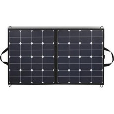 Φωτοβολταϊκό Πάνελ Devia GSM100W 100W Guardian Μαύρο N63425