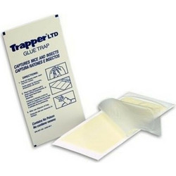 Protecta Trapper LTD Ποντικοπαγίδα με Κόλλα