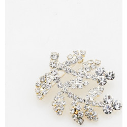 Ice Blossom Crystal Branch Brooch Ασημί Novita