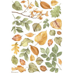 Stamperia Ριζόχαρτο Decoupage A4 (21X29,7cm) Leaves