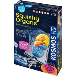 Kosmos Squishy Organs