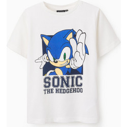 Zippy Παιδικό T-Shirt Κοντομάνικο Λευκό Μπλε 31070483041