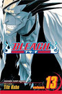 Bleach, Vol. 13 Bleach, Vol. 13