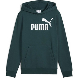 Puma Παιδικό Φούτερ με Κουκούλα Κυπαρισσί 684908-75