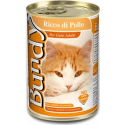 Bundy Adult Premium Pate with Chicken 6x400gr