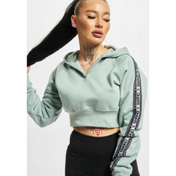 DNGRS Γυναικείο Φούτερ με Κουκούλα Πράσινο Mint DLHD129-00111