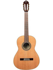 Ortega R20GSNWN