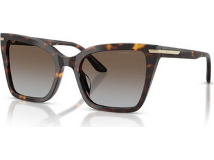 Emporio Armani EA4273BU 502689 Γυναικεία Γυαλιά Ηλίου Πεταλούδα Κοκάλινα Ταρταρούγα με Καφέ Φακό