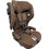Bebe Stars Flexy Κάθισμα Αυτοκινήτου i-Size 9-36kg ISOfix Brown