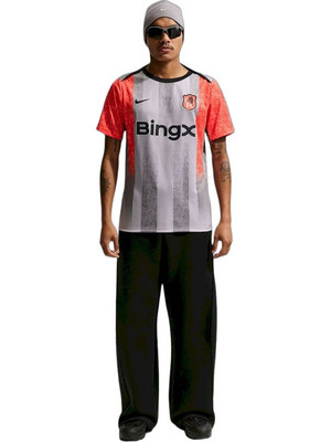 Nike Chelsea Academy Pro SE Ανδρικό Αθλητικό T-Shirt Γκρι IB3806-012