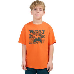 4F Παιδικό T-Shirt Κοντομάνικο Πορτοκαλί 4FJWSS26TTSHM2814-70S
