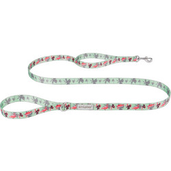 Amiplay BeHappy Flamingo Λουρί Σκύλου 1.5m x 20mm Πράσινο Mint