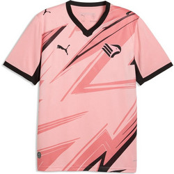 Puma Palermo Home Ανδρικό Αθλητικό T-Shirt Ροζ 786198-01