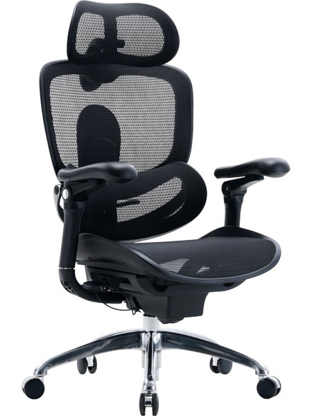Sihoo Doro C300 Pro V2 Καρέκλα Γραφείου με Προσκέφαλο Ανάκλιση και Ρυθμιζόμενα Μπράτσα Μαύρη