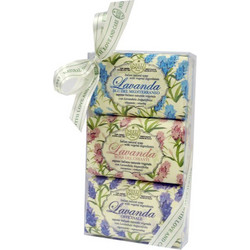 Nesti Dante Lavanda Soap Set