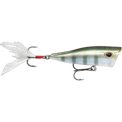 Storm Arashi Cover Τεχνητό Δόλωμα Popper 8cm 14gr 680