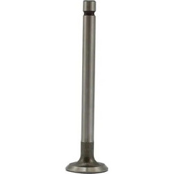 ΒΑΛΒΙΔΑ ΕΞΑΓΩΓΗΣ YAMAHA T50 TKRJ