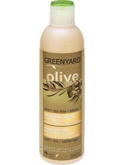 Greenyard Sensitive Scalp Φυτικό Σαμπουάν κατά της Ξηροδερμίας & της Πιτυρίδας για Ξηρά Μαλλιά 250ml