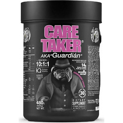 Zoomad Labs Caretaker BCAAs 10:1:1 Strawberry Cream 480gr