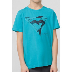 4F Παιδικό T-Shirt Κοντομάνικο Τιρκουάζ HJL22-JTSM011-33S