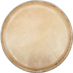 PURE GEWA ΔΈΡΜΑ ΓΙΑ CONGA CLUB SALSA 12.5"