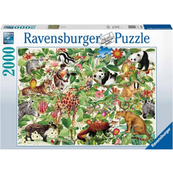 Puzzle Ravensburger Ζούγκλα 2000 Κομμάτια